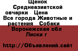 Щенок Среднеазиатской овчарки › Цена ­ 35 000 - Все города Животные и растения » Собаки   . Воронежская обл.,Лиски г.
